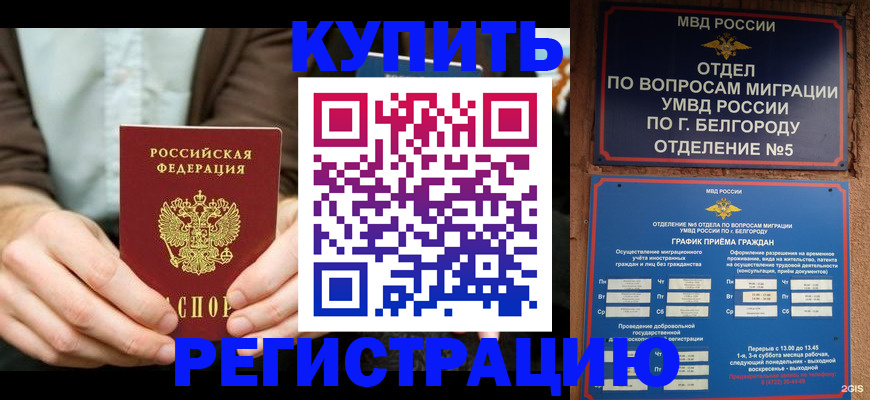 прописка 2025 в Тайшете